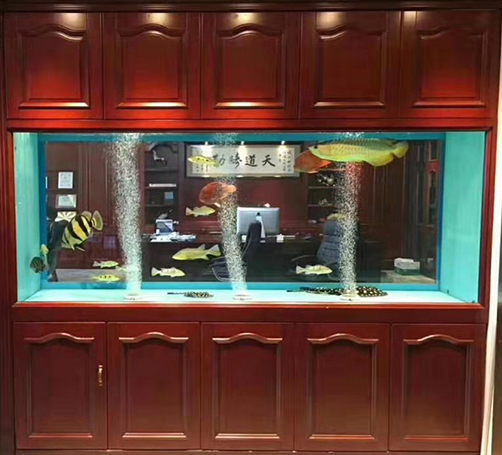 嵌入式鱼缸